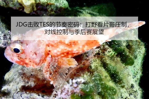 ji-bai-de-jie-zou-mi-ma-da-ye-kan-pian-ge-ya-zhi-dui-xian-kong-zhi-yu-ji-hou-sai-zhan-wang-2-980.jpg
