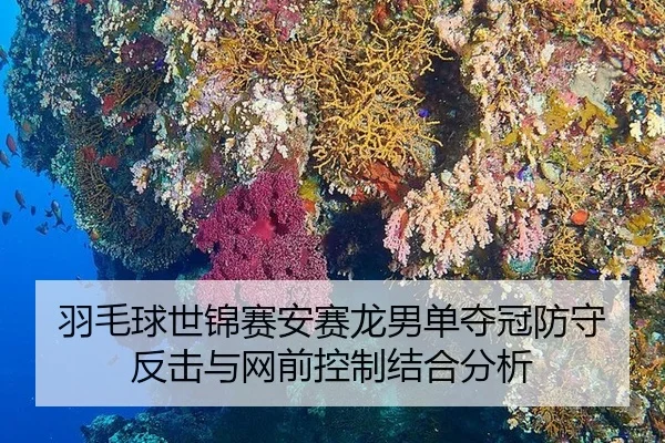 yu-mao-qiu-shi-jin-sai-an-sai-long-nan-dan-duo-guan-fang-shou-fan-ji-yu-wang-qian-kong-zhi-jie-he-fen-xi-3-931.jpg