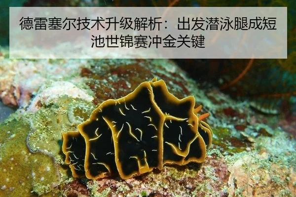 de-lei-sai-er-ji-shu-sheng-ji-jie-xi-chu-fa-qian-yong-tui-cheng-duan-chi-shi-jin-sai-chong-jin-guan-jian-3-430.jpg