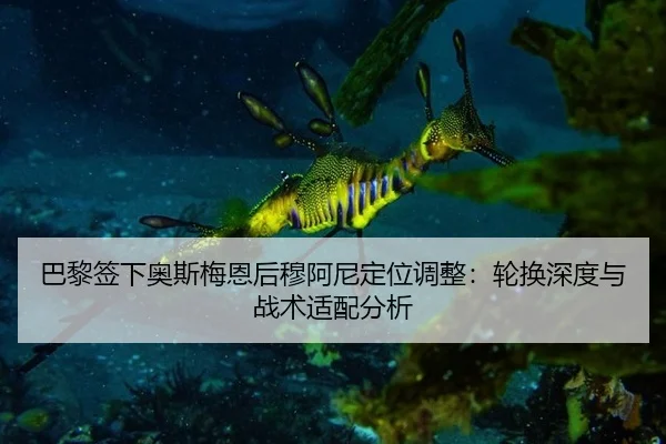 ba-li-qian-xia-ao-si-mei-en-hou-mu-a-ni-ding-wei-tiao-zheng-lun-huan-shen-du-yu-zhan-shu-shi-pei-fen-xi-2-178.jpg
